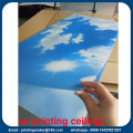 Soffitto con servizio di stampa UV grafico personalizzato Sky