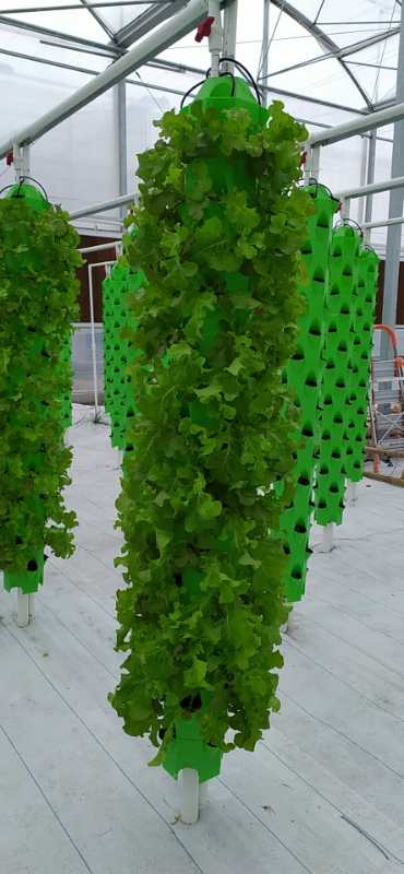 Skyplant vertical aeroponic growing system hydroponic