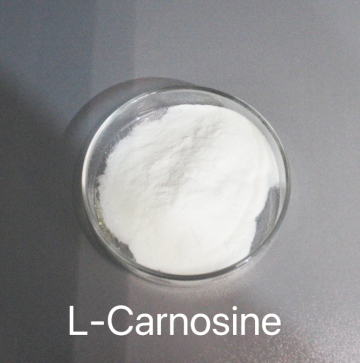 L-Carnosine amino acid supplement