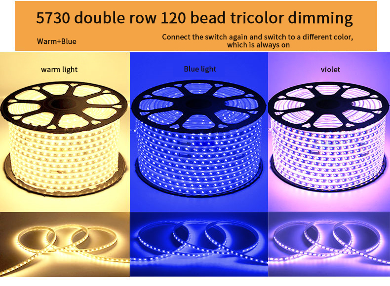 220V RGB 5050 Led Strip Flexible light Waterproof IP67 APP control Led Rope Light