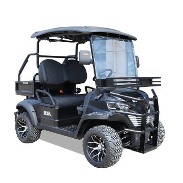 Electric Differential for Golf Cars