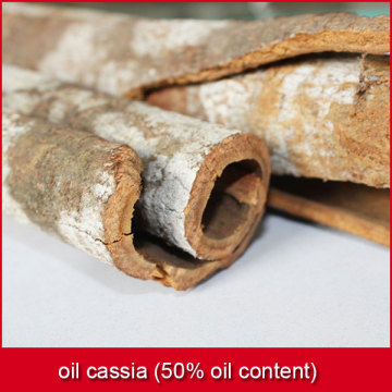 oil cassia (50% oil content)