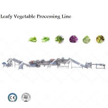 Línea de procesamiento de vegetales de hojas industriales