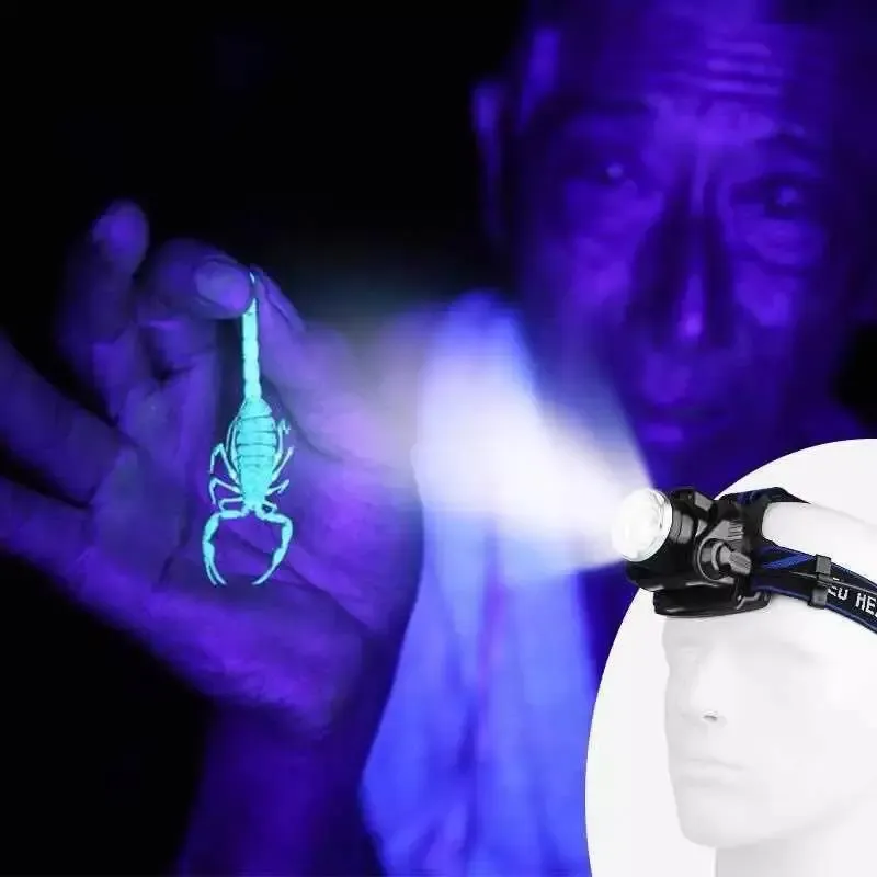 Rechargeable UV Headlamp with 395nm LED for Night Fishing and Scorpion Hunting