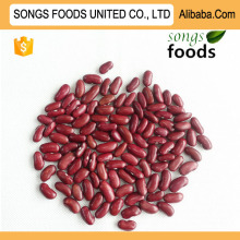Product Dark Red Kidney Beans New Crop