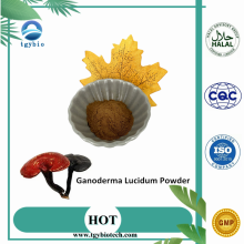 Extracto de ganoderma polisacárido ganoderma lucidum polvo