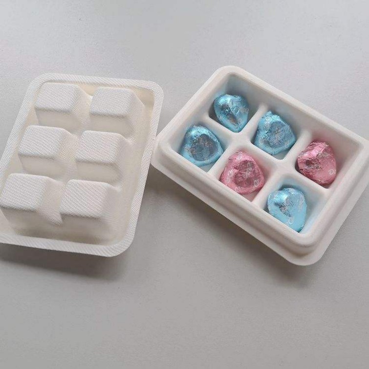 Molded Pulp Trays