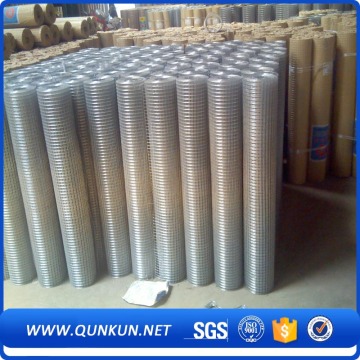 best selling electro galvanized welded wire mesh