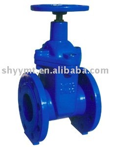 Resilient seated gate valve