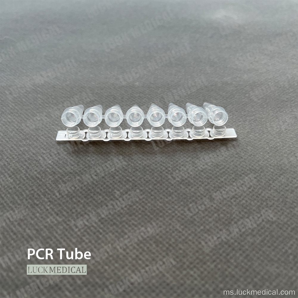 Tiub jalur PCR 8 plastik