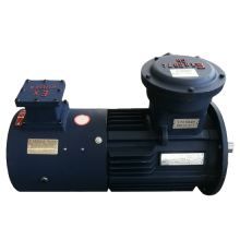 YVP11KW Frequent Variable Speed 3-Phase Motor