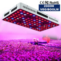 1000W LEDS COB LED LUZ