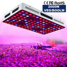 1000W LEDs COB LED Wachsen Licht