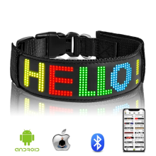 Top Seller LED Pet Collar: Rechargeable Flashing LED Cat Dog Collar