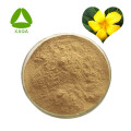 Damiana Extract Powder 100: 1 Melhoria sexual masculina