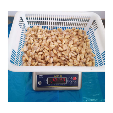 Top selling fresh frozen cooked clam meat detail boiled vacuum packaging clam meat detail