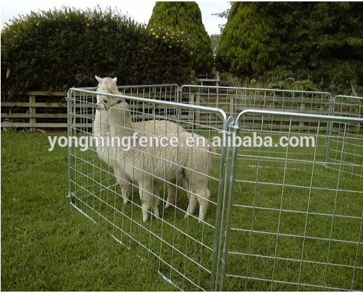 galvanized livestock sheep metal fence panels