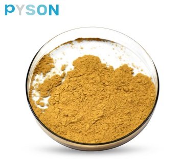 Dan Shen Extract 1% HPLC