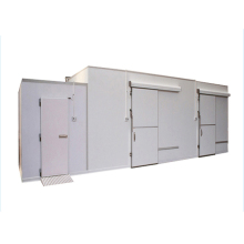 PU Panel Cold Storage Rooms and Freezers