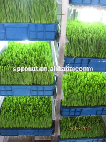 2016 Hydroponic Farm Fodder Growing System for Poultry/Livestock