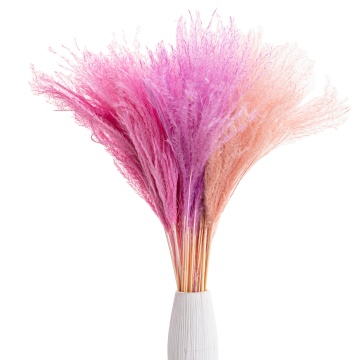 Dried Pampas Grass for Decor - Luxuriant Flower Reed Plume