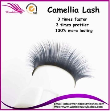 Russian Volume Lashes Extension