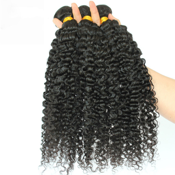 Kinky Curly Human Hair Extension Bundle Cheap Wholesale 10A Brazilian Cuticle Aligned Virgin Curly Human Hair Double Weft Bundle