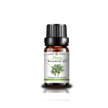 Mejor precio Pure Organic Thuja Essential Oil para el cuidado de la piel