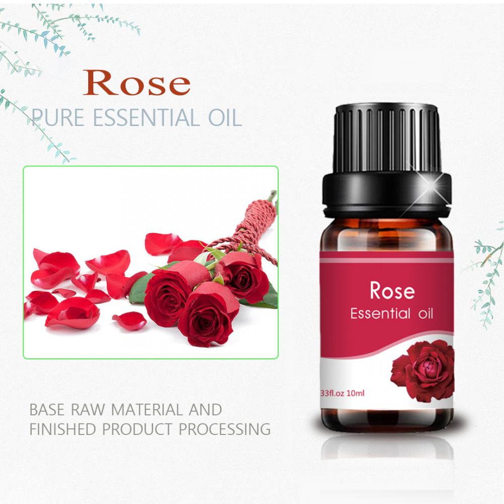 100% Perawatan Kulit Murni Rose Essential Oil Delay Aging