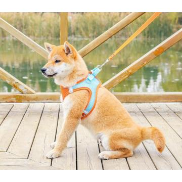 Harness Anjing Lembut, Pabrik Anjing Kustom Pabrik