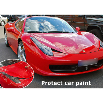 TPU Paint Protection Film.