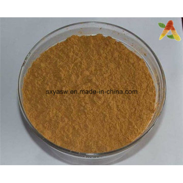 Высокое качество CAS № 3351-86-8 Натуральный фукоксантин