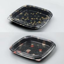 Recyclable Plastic Food Packaging Container