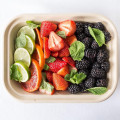 Sustainable Fiber Trays for Eco-Friendly Food Packaging