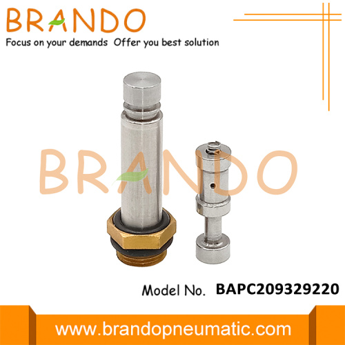BAPC209329220 PLPG CNG Inyector Rail Solenoid Armado émbolo