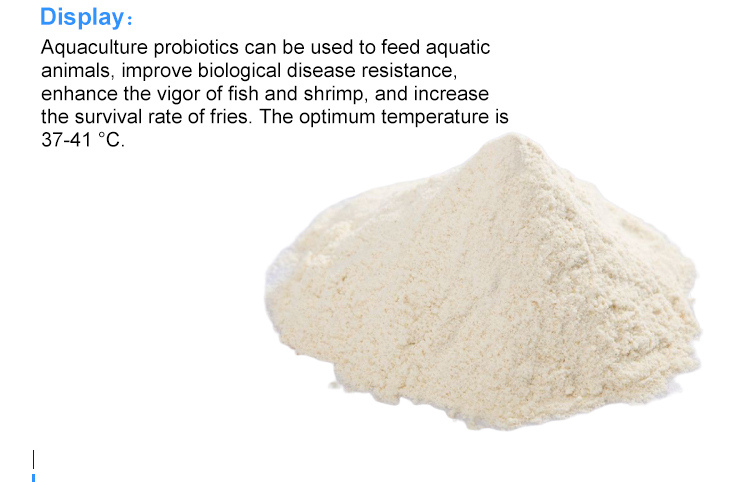 fish growth promoter aquaculture probiotics for biofloc fish farming