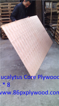 Eucalyptus Plywood of 6mm Plywoo for Sale