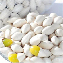ginkgo semen Ginkgo Seed ginkgo nut bai guo