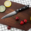 TOALLWIN Heavy Duty VG10 Damascus Steak Knife