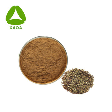 Andrographis Extract Powder 10: 1 Extrato de planta natural