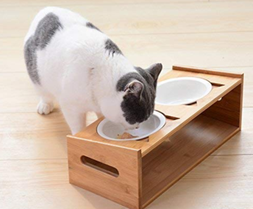 Pet Bowl With Feeding Platform