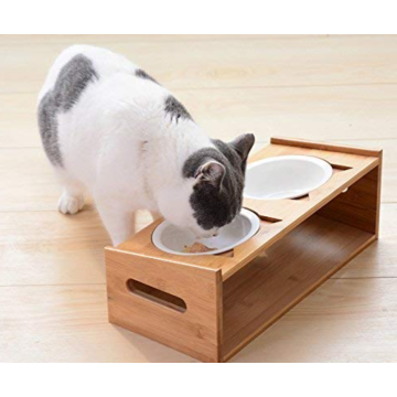 Pet Bowl met Feeding Platform