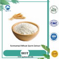 Wheat Germ Extract / Fermented Wheat Germ Extract