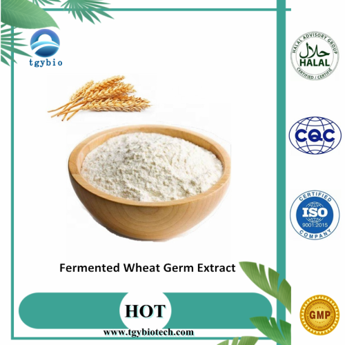 Extracto de germen de trigo / extracto de germen de trigo fermentado