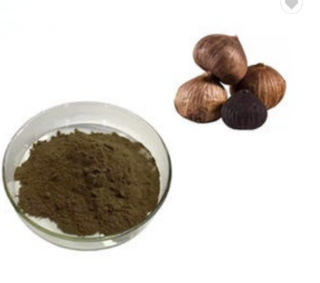 Organic Fermented Black Garlic Extract Powder