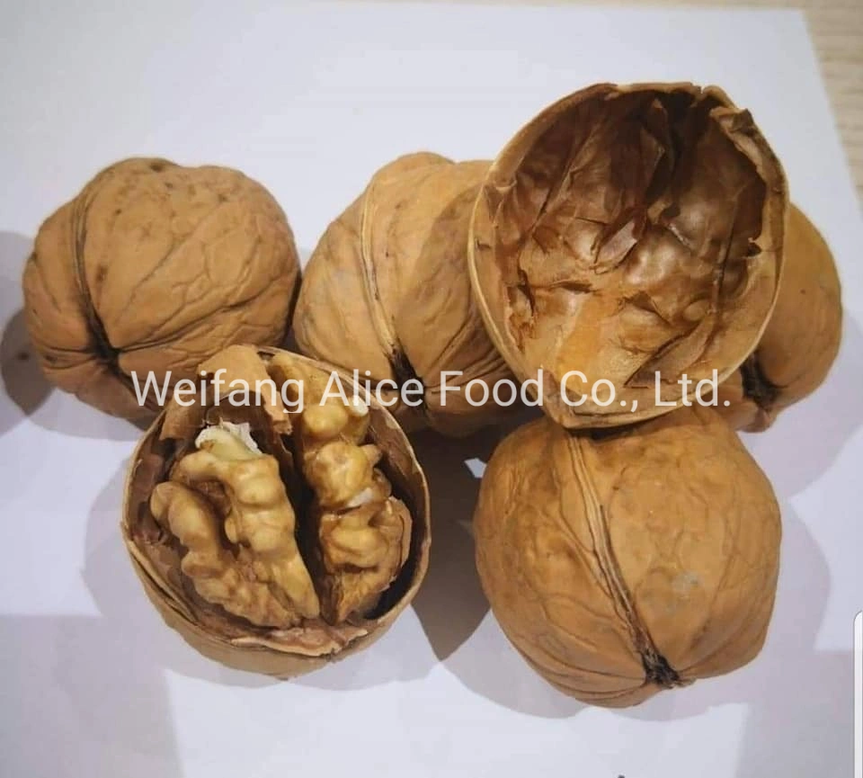 Low Price Wholesale Chinese Paper Shell Walnut