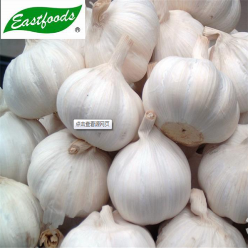 Fresh Natural Garlic