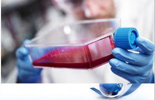 Trypsin Solution digestion of protein and Polypeptide or ce