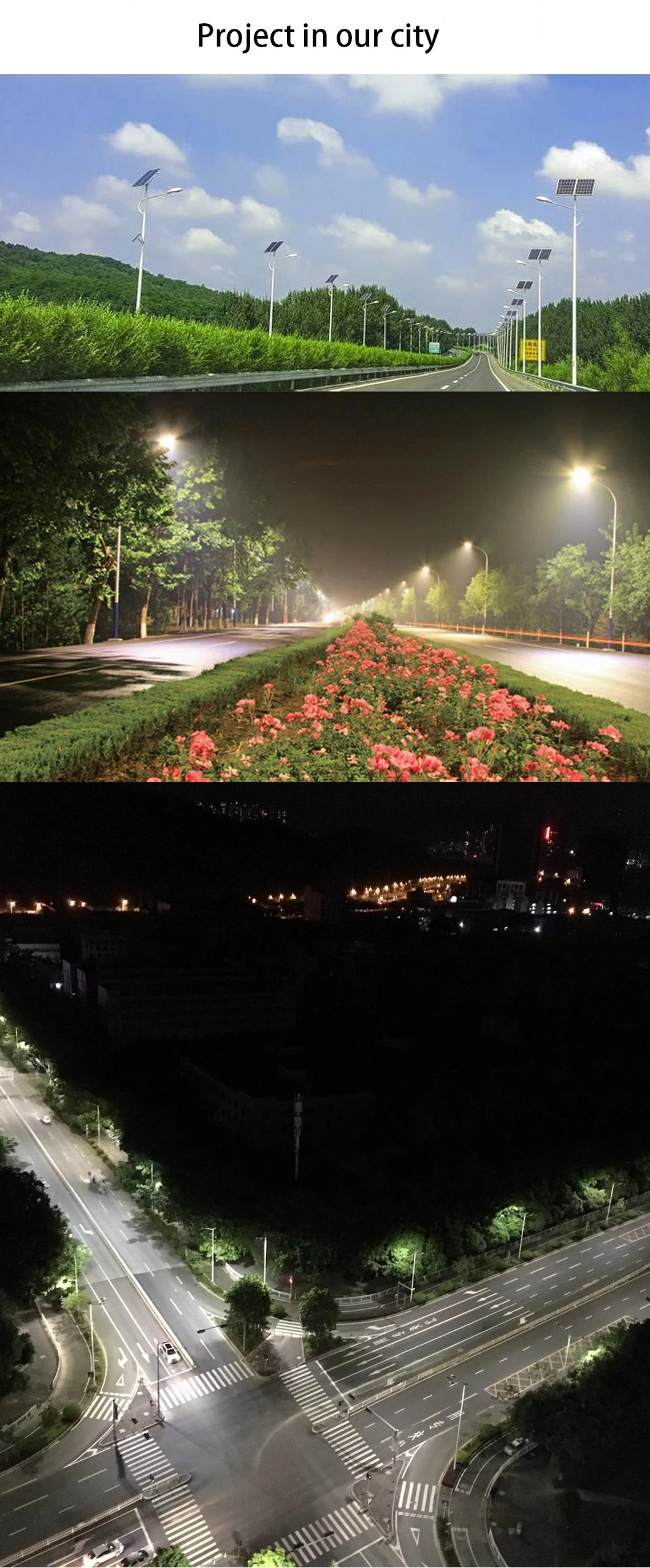 China Factory Direct High Performance 30W 50W 80W All in One Solar Garden Light Park Light