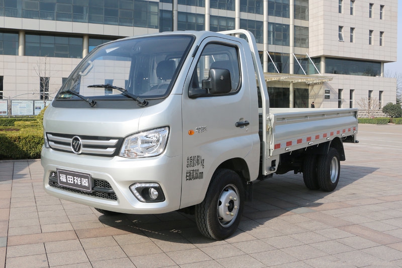 Foton Dump Truck 1